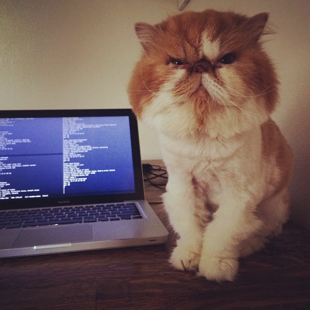 Winston judging my work